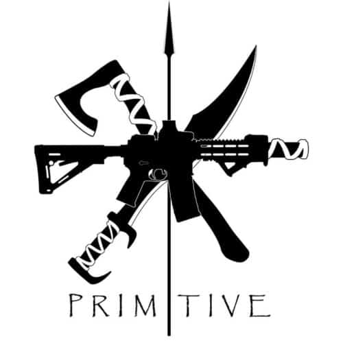 Primitive Solutions